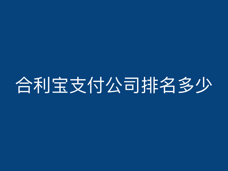 屹掌柜支付公司排名多少
