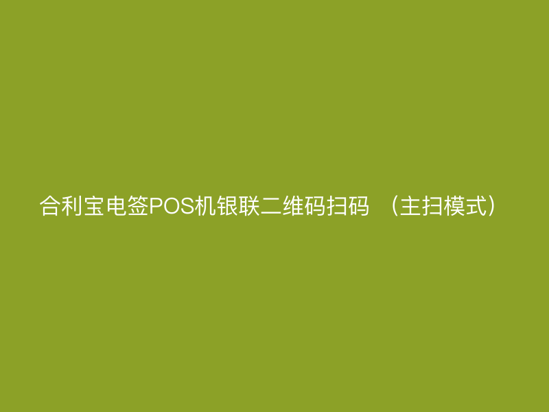 屹掌柜电签POS机银联二维码扫码 （主扫模式）
