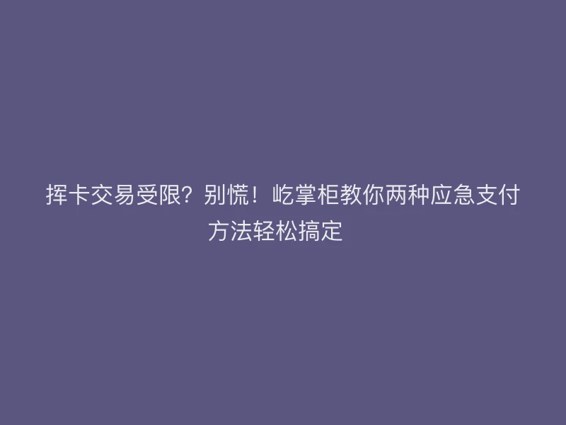 挥卡交易受限？别慌！屹掌柜教你两种应急支付方法轻松搞定  