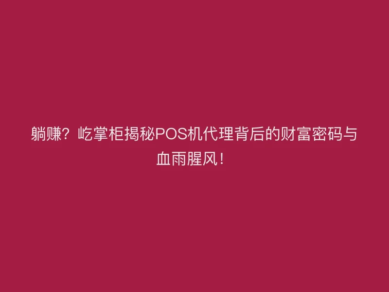躺赚？屹掌柜揭秘POS机代理背后的财富密码与血雨腥风！
